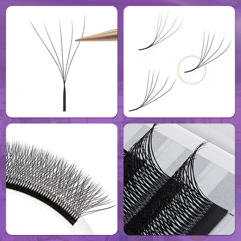5D Volume Lash Extensions Close-Up, Blooming Lashes with Dense Root Structure