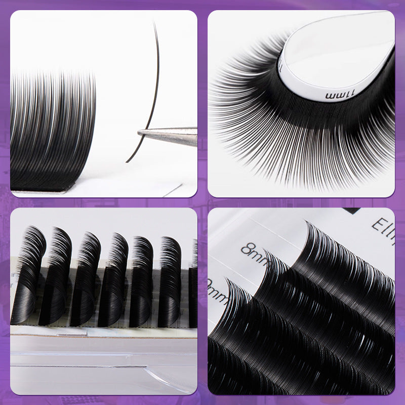 Flat Classic Lash Extensions Close-Up, Ellipse Flat Lashes with Two Tips